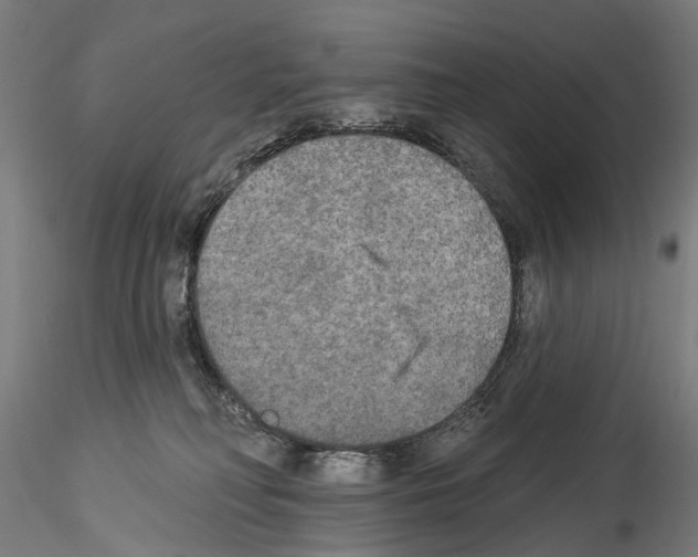 X0000114550230200911301231