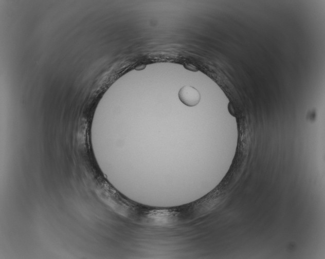 X0000114550231200911301231