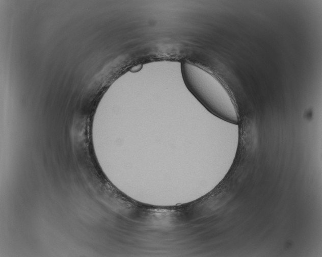 X0000114550233200911301231