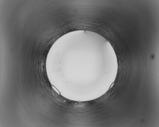 X0000114550235200911301231