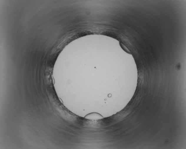 X0000114550237200911301231