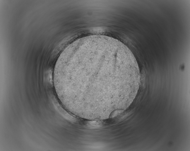 X0000114550238200911301231
