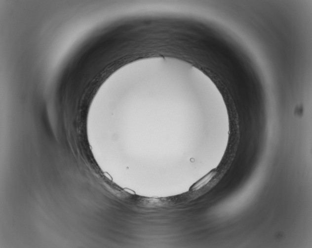 X0000114550239200911301231