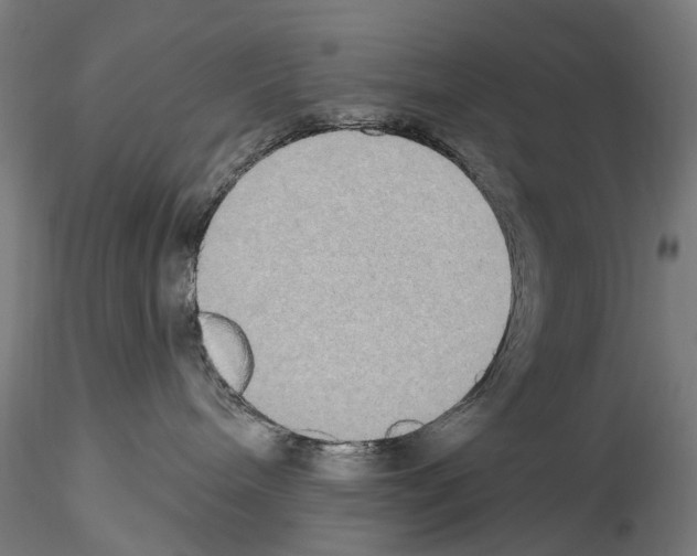 X0000114550240200911301231