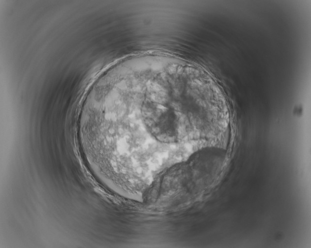 X0000114550241200911301230