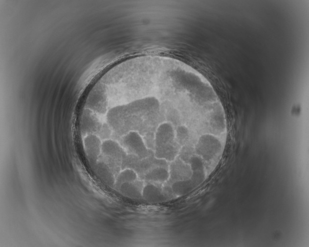 X0000114550242200911301231