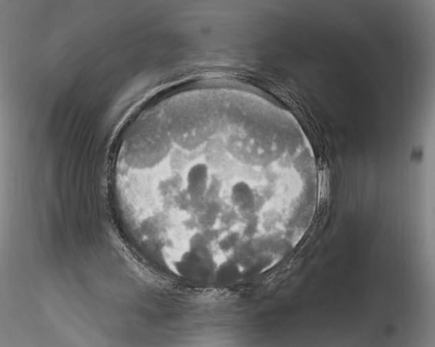 X0000114550243200911301231