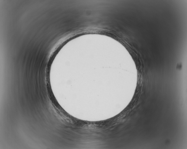 X0000114550244200911301231