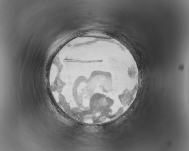 X0000114550245200911301231