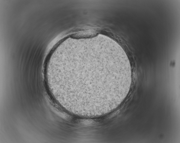 X0000114550246200911301231