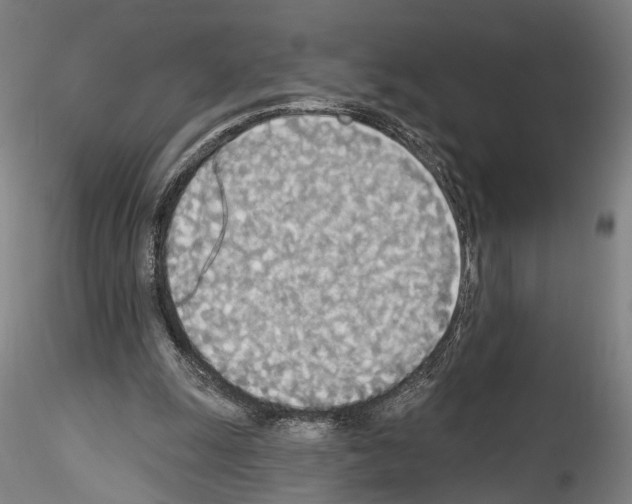 X0000114550247200911301231