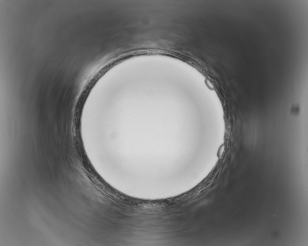 X0000114550248200911301231
