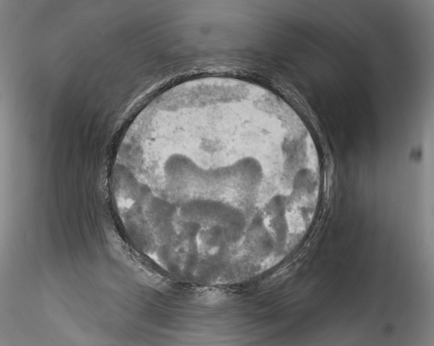 X0000114550249200911301231