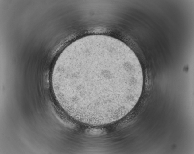 X0000114550251200911301231