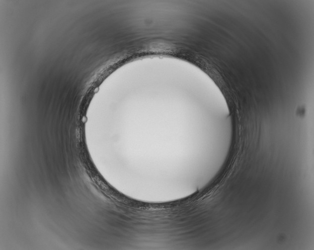 X0000114550252200911301231