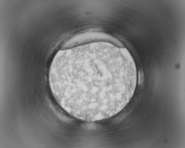 X0000114550253200911301231