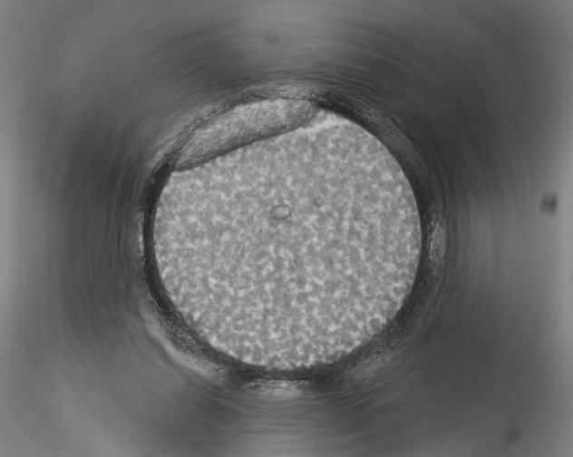 X0000114550254200911301231