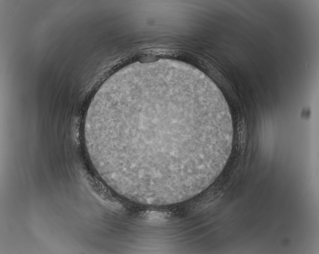 X0000114550255200911301231