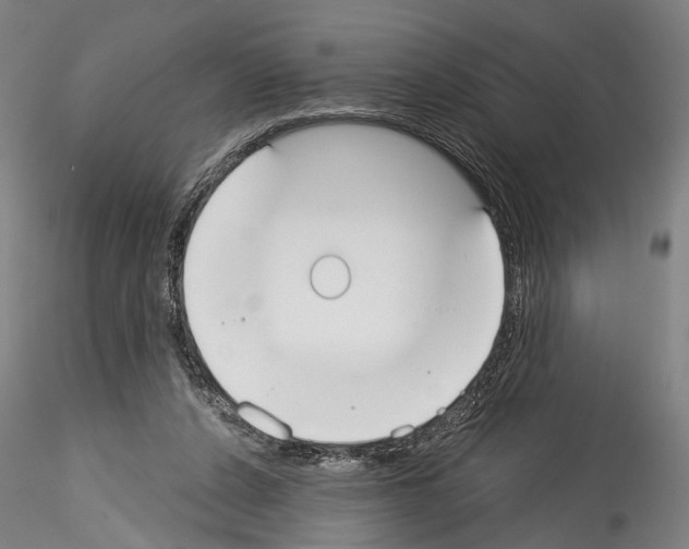 X0000114550256200911301231