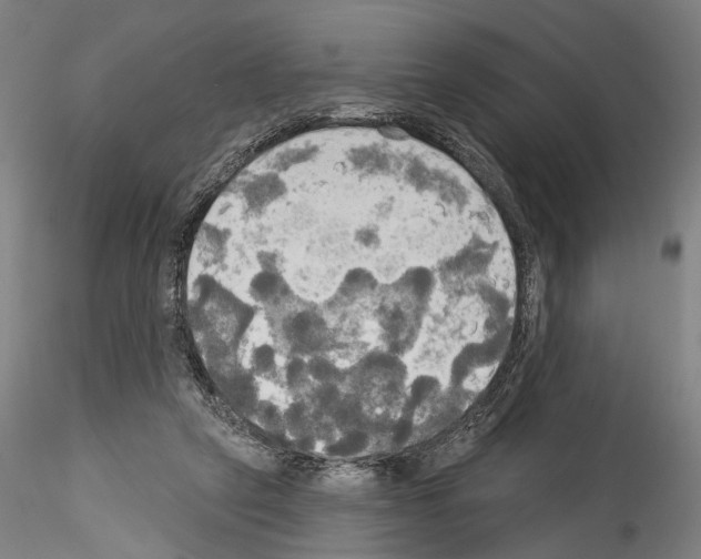X0000114550257200911301231
