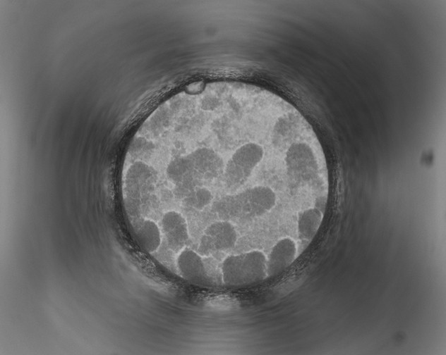X0000114550258200911301231