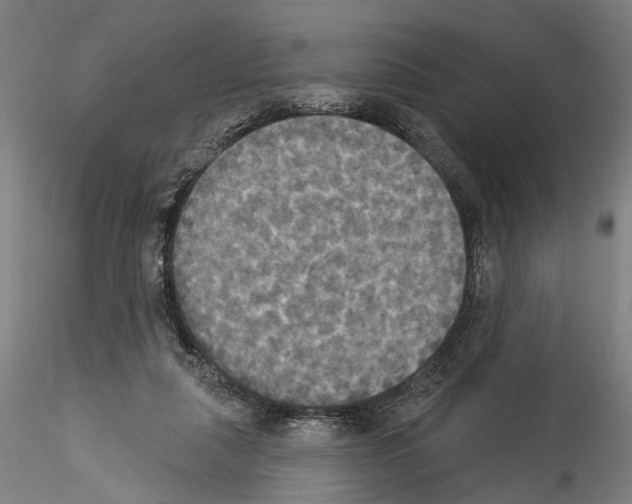 X0000114550259200911301231