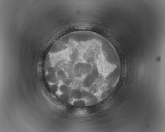X0000114550263200911301231
