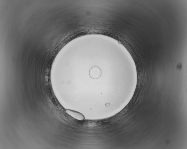 X0000114550264200911301231