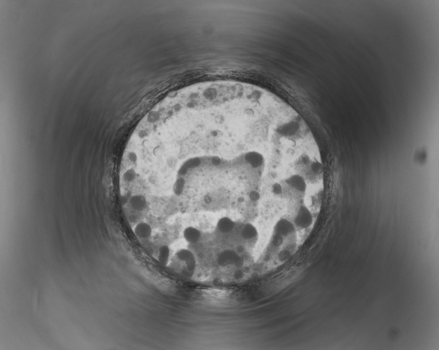 X0000114550265200911301231