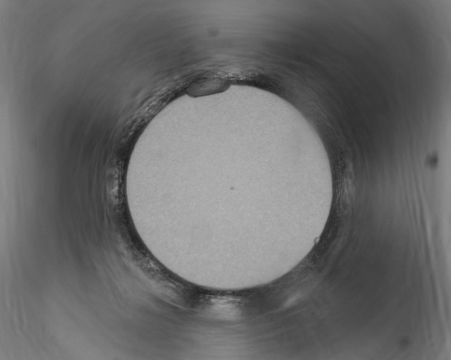 X0000114550268200911301231