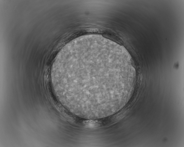 X0000114550273200911301231