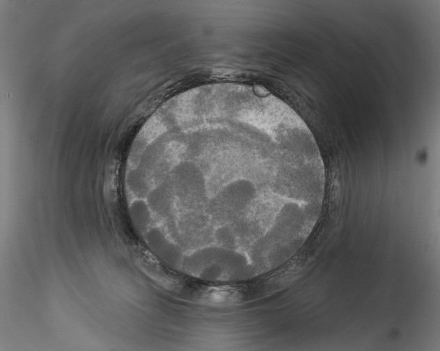 X0000114550275200911301231
