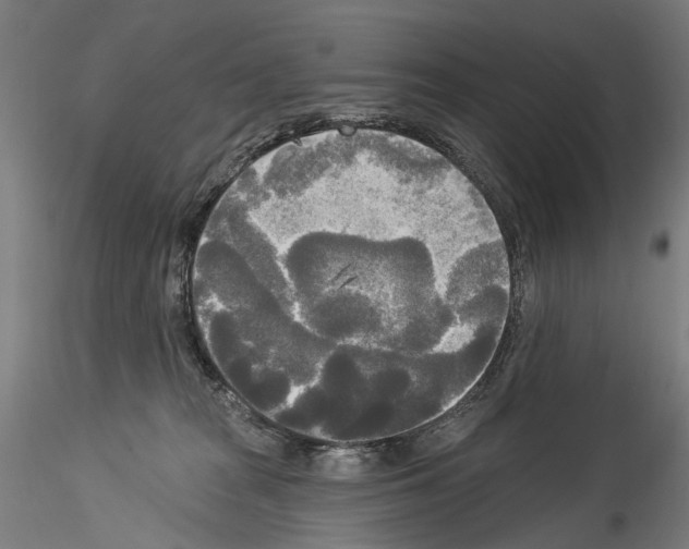 X0000114550277200911301231
