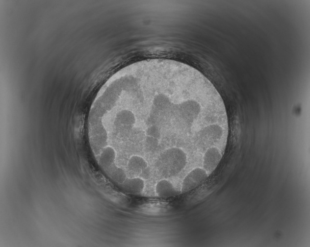 X0000114550278200911301231