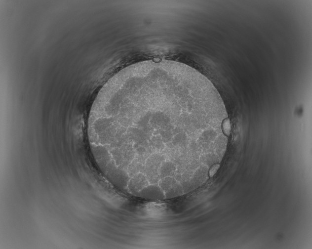 X0000114550279200911301231