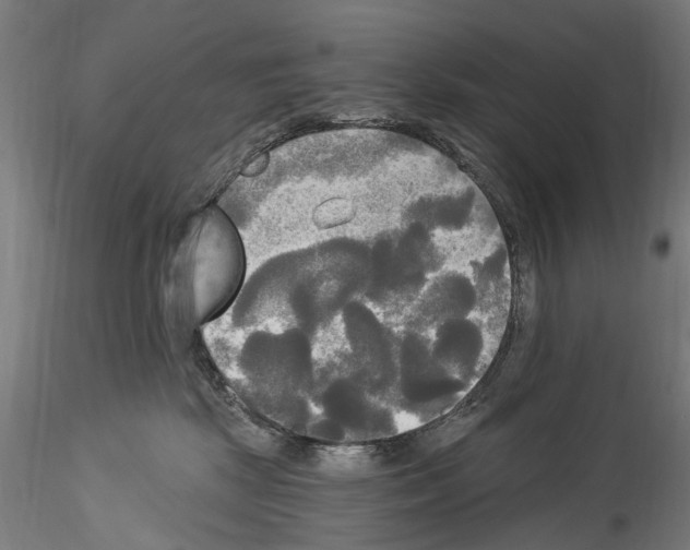 X0000114550281200911301231