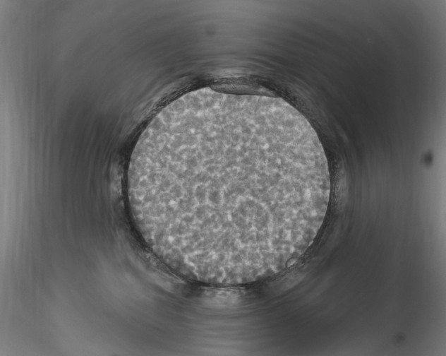X0000114550282200911301231
