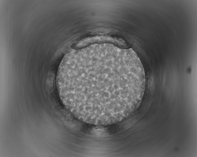 X0000114550283200911301231