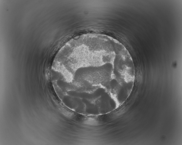 X0000114550285200911301231