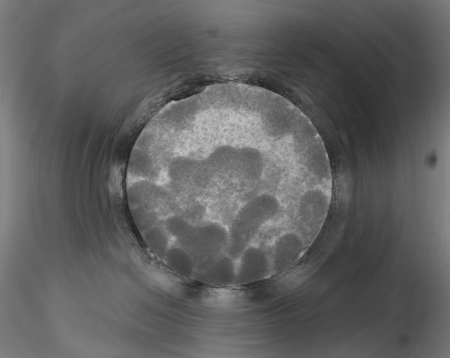 X0000114550286200911301231