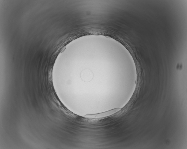 X0000114550288200911301231