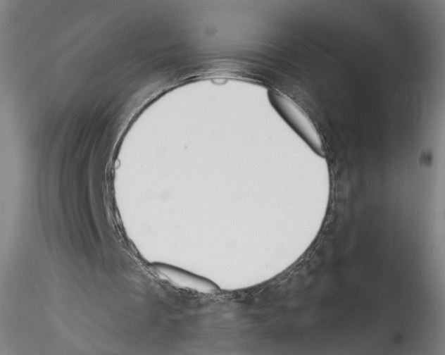 X0000114550289200911301230