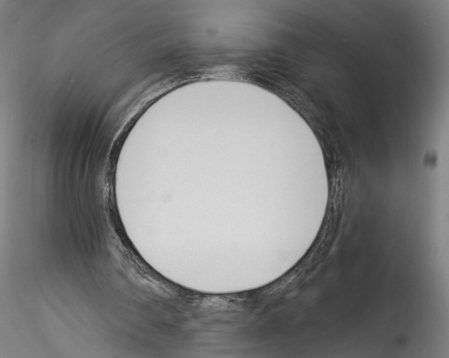 X0000114550290200911301230