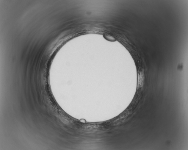X0000114550291200911301230