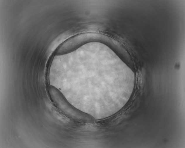X0000114550292200911301230