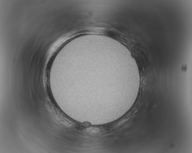 X0000114550294200911301230