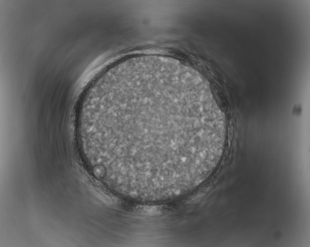 X0000114550295200911301230