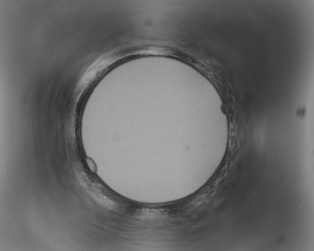 X0000114550296200911301230