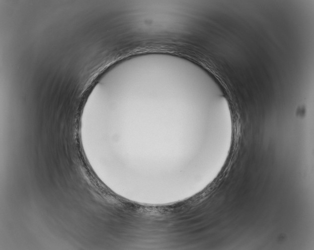 X0000114550297200911301230