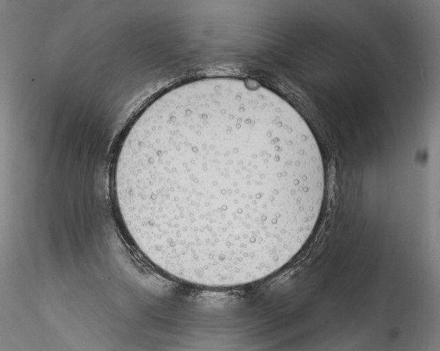 X0000114550298200911301230